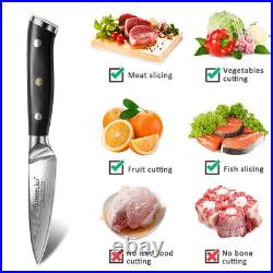 4pcs Kitchen Knife Set Damascus Steel Chef Knife Sharp Blade Fruit Paring Gift