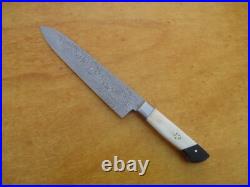 6 Pc's Beautiful Custom hand made Damascus steel Chef knife Set. (ZE-1071-BH+RB)