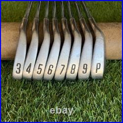 Beauwood Passage SPR Vintage Blade Iron Set 3-Pw Steel Regular Flex New Grips