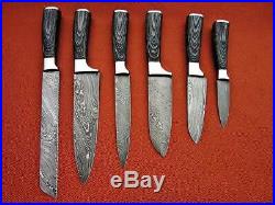 CUSTOM MADE DAMASCUS BLADE 6Pcs. CHEF/KITCHEN KNIVES SET DC 1049-6