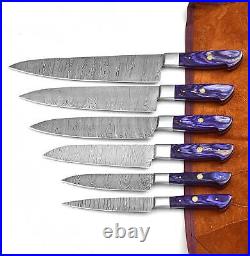 CUSTOM MADE DAMASCUS BLADE 6Pcs. CHEF/KITCHEN KNIVES SET (ZE-071-PRP+RB)