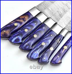 CUSTOM MADE DAMASCUS BLADE 6Pcs. CHEF/KITCHEN KNIVES SET (ZE-071-PRP+RB)