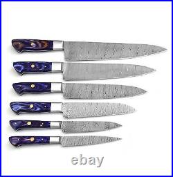 CUSTOM MADE DAMASCUS BLADE 6Pcs. CHEF/KITCHEN KNIVES SET (ZE-071-PRP+RB)