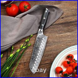 Chef Knife Damascus Steel Meat Slicer Fruit Paring Santoku Blade Cooking Cutlery