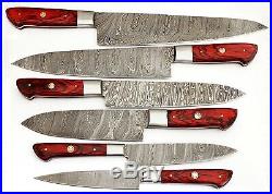 Custom Hand Made Damascus Blade 6 Pcs Kitchen Knife Chef Knife Set 1071 Red