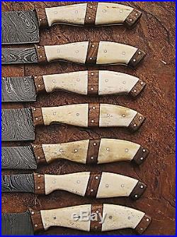 Custom Made Damascus Blade Kitchen/chef Knife 07 Pc's Set