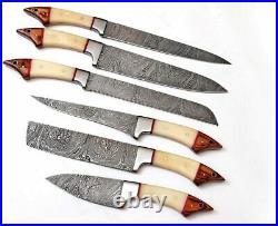 Custom Made Damascus Blade Profasional 6pc & Kitchen Knife Set Dc-1061