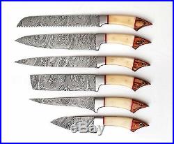 Custom Made Damascus Blade Unique Kitchen/chef Knife 6 Pc's Set Db 1061-6