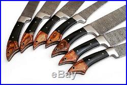 DAMASCUS CHEF/KITCHEN KNIFE CUSTOM MADE BLADE 7 Pcs. Set. EC-1103-H- Br