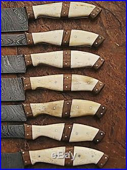 Damascus Steel Custom made Kitchen Knife 7pc Set Razor Sharp Blade PD-1007-7