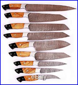 Damascus Steel Custom made Kitchen Knife 9pc Set Razor Sharp Blade PD-1009-9