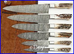 EST CUSTOM MADE DAMASCUS BLADE 6Pc's. KITCHEN KNIVES SET-1071-Stag Case Roll Bag