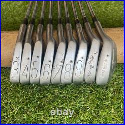 Stan Thompson Stainless Steel Iron Set 3-Sw Regular Flex Right New Grips