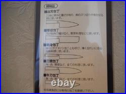 Unused Japanese Knife Set (5 Pieces) dento no waza Seki Blades, Made in Japan